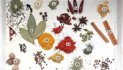Cuándo usar especias en platos tradicionales
